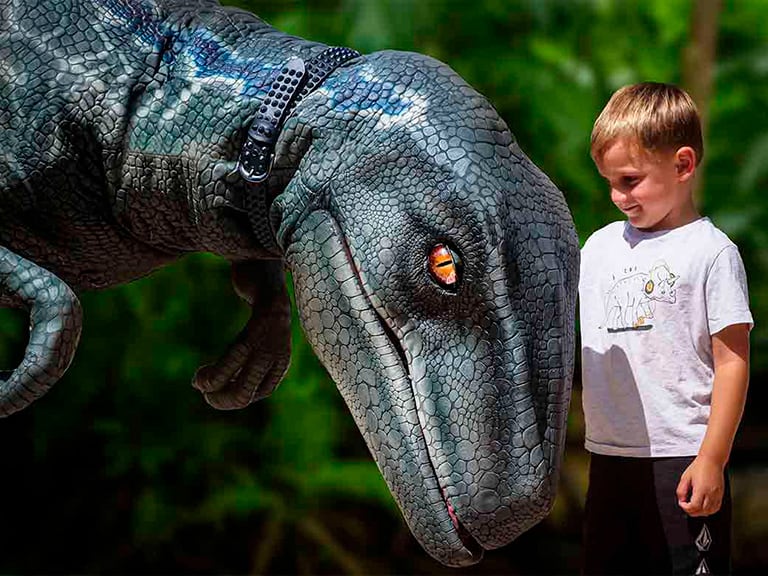 Dinosaurland y Cuevas dels Hams | Visitas Guiadas en Mallorca