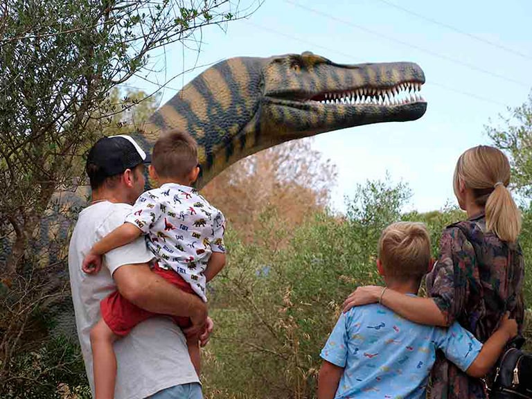 Dinosaurland y Cuevas dels Hams | Visitas Guiadas en Mallorca