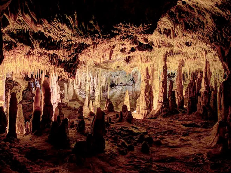Dinosaurland y Cuevas dels Hams | Visitas Guiadas en Mallorca
