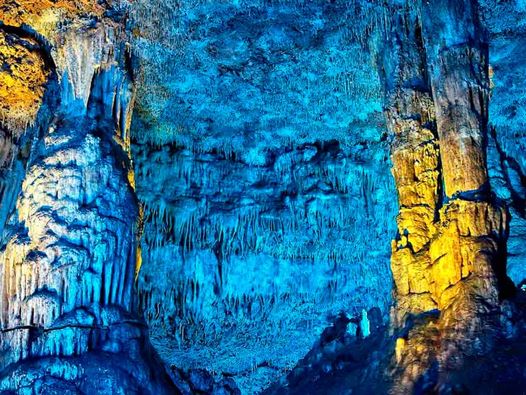 Dinosaurland y Cuevas dels Hams | Visitas Guiadas en Mallorca