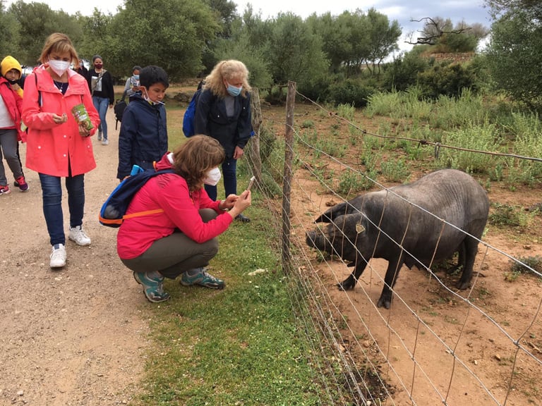 ruta des talaiots | Visitas Guiadas en Mallorca