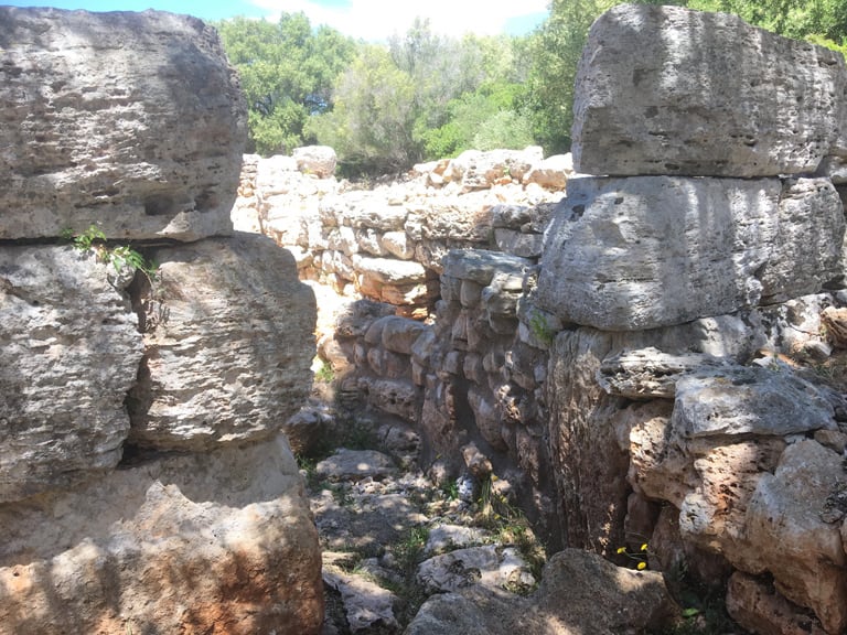 ruta des talaiots | Visitas Guiadas en Mallorca