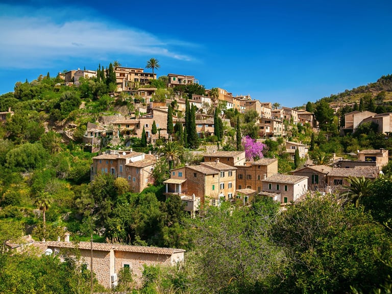 tour valldemossa formentor | Visitas Guiadas en Mallorca