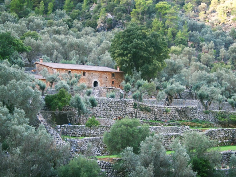 tour valldemossa formentor | Visitas Guiadas en Mallorca